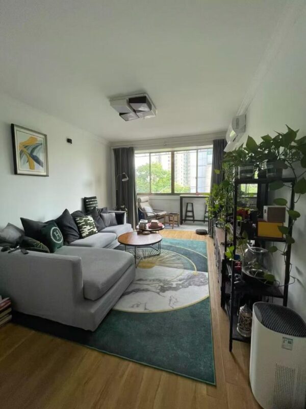 1br，7.8k，jiangsu rd（line2/11）